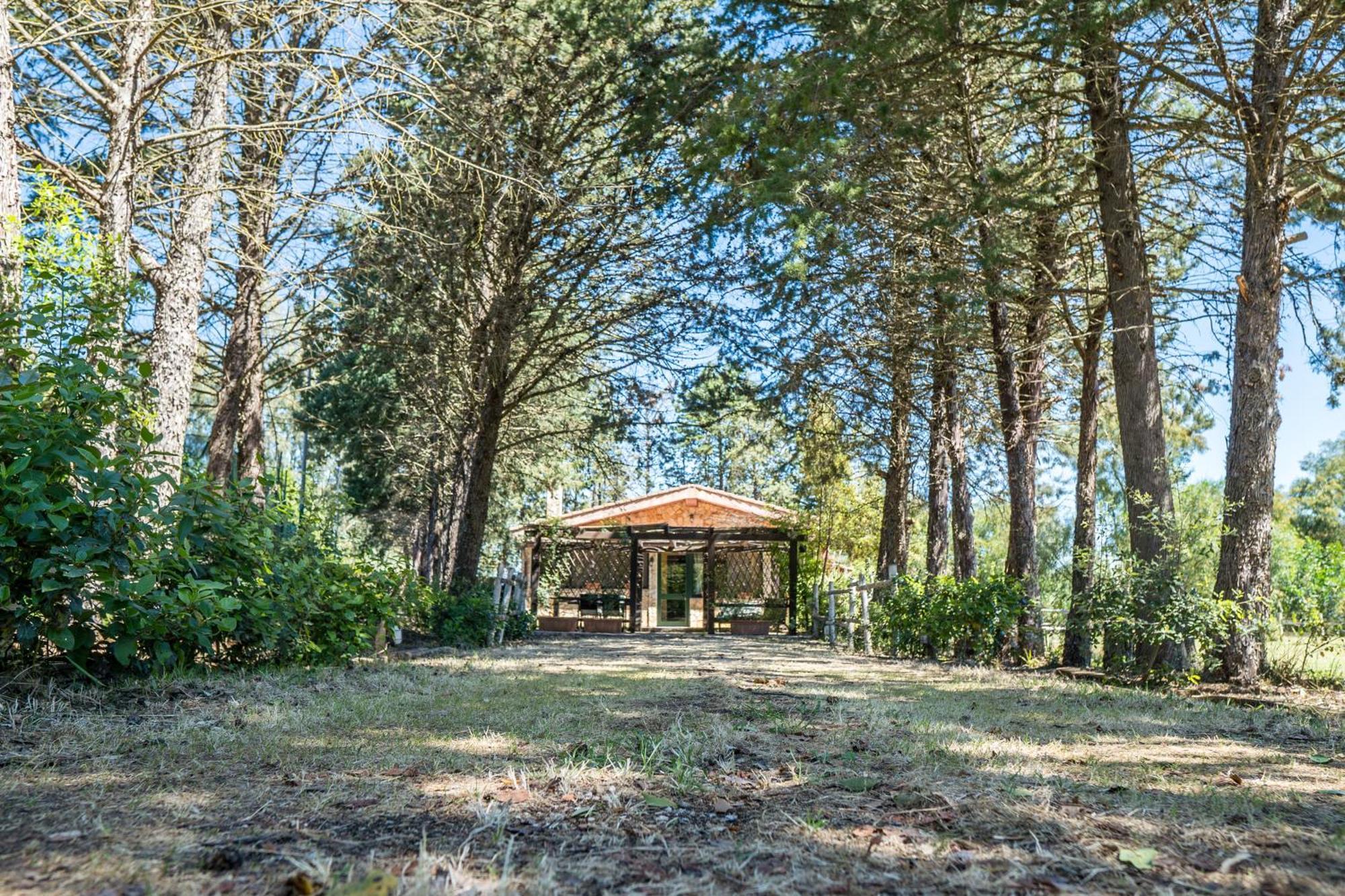הוילה אולמדו Fattoria Dei Piani Srl מראה חיצוני תמונה